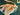 670dca8034be6e479edf2839_img-9980_1790543556861.jpeg