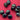 670dca8034be6e479edf2839_img-9996_1788902874900.jpeg