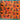 Fabric Cotton Jungle Animals Oranges Reds 57"x42" (1.6 yards)