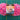Yarn Novelty Kidding Around Loops & THreads Pink & Purple 1 Skein 62 yards 3.5 oz /100 grams