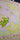 670dca8034be6e479edf2839_moonbeampinkp-3_1786034783491.jpg
