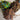 670dca8034be6e479edf2839_rem4sale_1784818350348.jpg