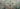 670dca8034be6e479edf2839_seahorse-green-3_1784373332659.jpg