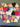 670dca8034be6e479edf2839_tempimage0mfsq6_1792256152436.jpg
