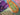 670dca8034be6e479edf2839_tempimage2haihd_1792946586952.jpg