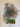 670dca8034be6e479edf2839_tempimage7nvqxx_1785954731005.jpg