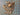 670dca8034be6e479edf2839_tempimagecn9t6i_1784492679175.jpg