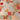 670dca8034be6e479edf2839_tempimagewtvwiw_1787072965020.jpg