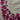 670dca8034be6e479edf2839_tempimagewz76fm_1791993161294.jpg
