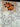 670dca8034be6e479edf2839_tempimageytbfry_1788450622736.jpg