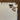 670dca8034be6e479edf2839_view-recent-photos-13_1767129614455.png
