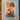 670dca8034be6e479edf2839_view-recent-photos-8_1767559310686.png
