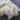 Ultra Soft Feather Boa / Fringe Piece - 37 Inches with Looped End