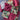 Little Bears Quilt Blocks Scraps & Remnants