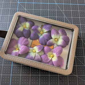 Paper Flower Embellishments - Illinois State Flower & Postcard Set