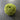 100% New Zealand Wool Macrame & Weaving Yarn - Lime - 4oz Cake