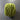 100% New Zealand Wool Macrame & Weaving Yarn - Lime - 4oz Cake