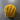 100% New Zealand Wool Macrame & Weaving Yarn - Sunflower - 4oz Cake