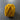 100% New Zealand Wool Macrame & Weaving Yarn - Goldenwheat - 4oz Cake