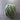 100% New Zealand Wool Macrame & Weaving Yarn - Pine - 4oz Cake