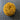 100% New Zealand Wool Macrame & Weaving Yarn - Goldenrod - 4oz Cake