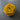 100% New Zealand Wool Macrame & Weaving Yarn - Marigold - 4oz Cake