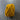 100% New Zealand Wool Macrame & Weaving Yarn - Marigold - 4oz Cake