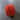 100% New Zealand Wool Macrame & Weaving Yarn - Red Orange - 4oz Cake