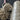 Banana Silk Yarn Bundle