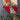7pc Backed Christmas Quilt Squares