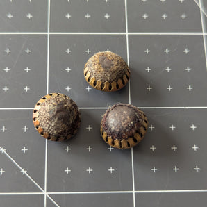 Parisian Fabric & Metal Buttons - Vintage/Antique (?)