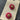 Fuchsia & Gold 3/4-in Buttons