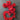 Red Polka Dot Ruffled Trim - 2-yards