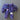 Knit One Crochet Too "Tartelette" - from the Gourmet Collection