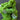 Breezy Lime Nylon Yarn Bundle