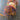 Yarn Bee "Tempting Girl" - Mindi