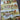 Portraits of the Wild - Printed Cotton - 18in, 21in Width