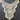 Off White Crochet Applique or Collar - Shanaya