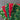 Rockin Around - Small Christmas Fabric Remnants Bundle