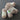 Trendsetter Yarns - Victory Bundle - Flesh
