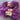 Premier Yarns Lash Lux - Set of 2 - Color: Velvet