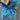 "Butterfly" Novelty Yarn - Turquoise