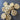 Bundle of Large Size Loofah Slices for Soap Making / Bath & Body Crafts