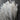 Set of 100 3ml plastic pipettes