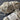 Yarn Bee Fleece Lite Yarn - Wonder Lodge