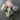 Cotton Candy Yarn Bundle - Lot 2