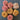Bundle of Pinks & Oranges - 100% New Zealand Wool Yarn