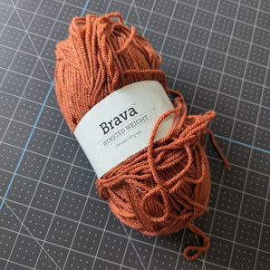 Brava Worsted Weight Yarn - Persimmon, 3.4oz