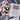 Patriotic Log Cabin Quilt Starter Kit