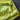 Lime Polyester Satin Lining - 5yds, 56in Width